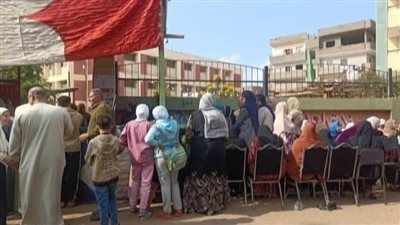 انتخابات مجلس النواب.. توافد الناخبين أمام اللجان بالمنوفية للإدلاء بأصواتهم - الخليج الان