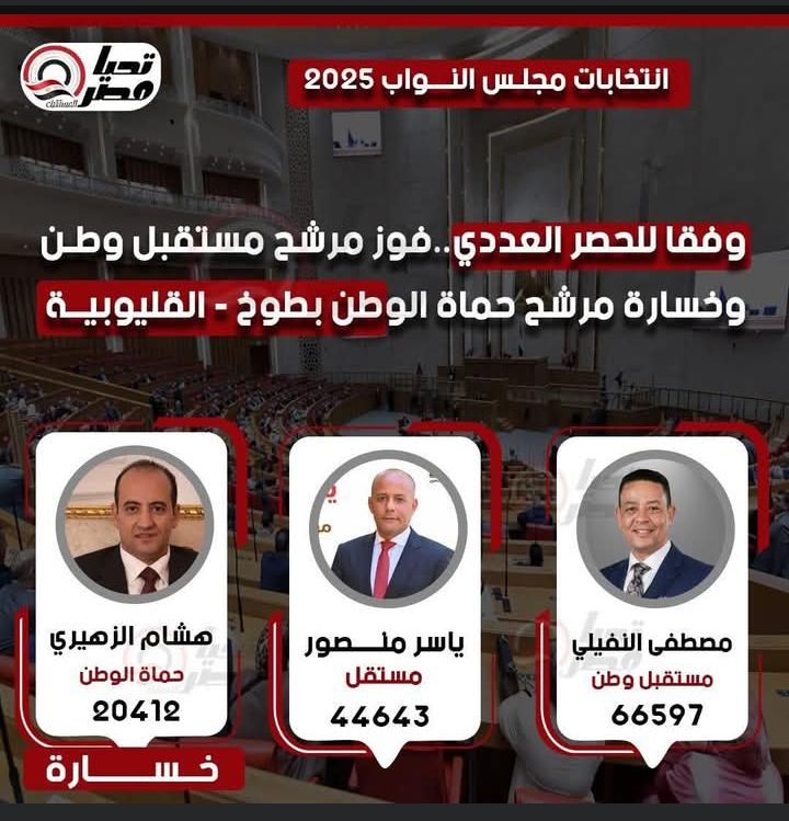 تليجراف الخليج ينشر النتيجة الكاملة للحصر العددي لجولة الإعادة بالمرحلة الثانية - الخليج الان