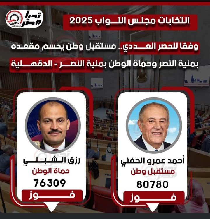 تليجراف الخليج ينشر النتيجة الكاملة للحصر العددي لجولة الإعادة بالمرحلة الثانية - الخليج الان