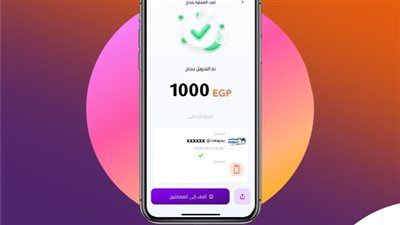 الحد الأقصى للتحويل عبر إنستاباي بعد قرار البنك المركزي 2025 - الخليج الان