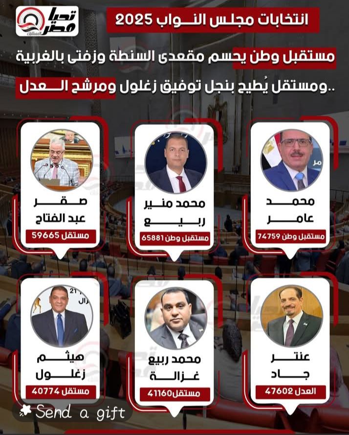 مستقبل وطن يحسم مقعدي السنطة وزفتى بالغربية.. ومستقل يُطيح بنجل توفيق زغلول ومرشح العدل - الخليج الان