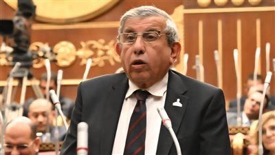 علاء عبد النبي تحت قبة الشيوخ: لا لتغليظ عقوبة سرقة الكهرباء ونعم لإشراك القطاع الخاص - الخليج الان