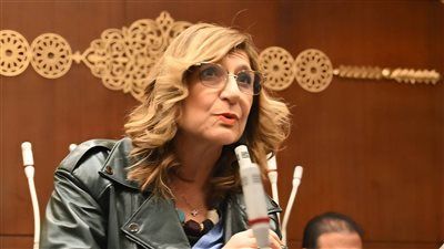 تضامن الشيوخ لتحيا مصر: تطوير قوانين الرعاية الاجتماعية والعنف هم أولوية خاصة للجنة - الخليج الان