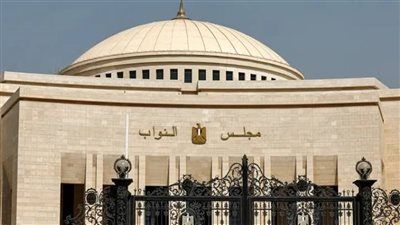 العام الأخير من عمر الفصل التشريعي الثاني.. تليجراف الخليج يرصد حصاد البرلمان في 2025 - الخليج الان