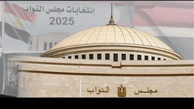 الجاليات المصرية بالدول العربية تستعد للتصويت بجولة إعادة الدوائر الـ 19 - الخليج الان