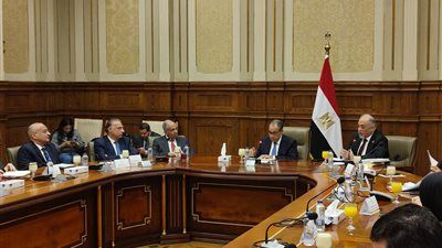 القصبي لوزير الخارجية: التزام الدولة المصرية للحقوق والحريات يتحقق خلال التشريعات - الخليج الان