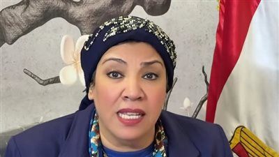 مؤشرات أولية بخسارة النائبة نشوي الديب في انتخابات النواب ٢٠٢٥ بإمبابة بالجيزة - الخليج الان