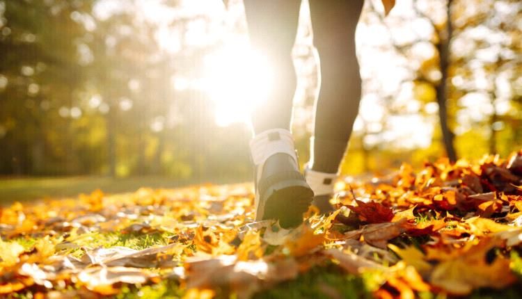 سر الصحة العقلية والبدنية !