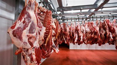 مفاجأة نهاية العام.. مصر تحقق الاكتفاء الذاتي من هذه المنتجات - الخليج الان