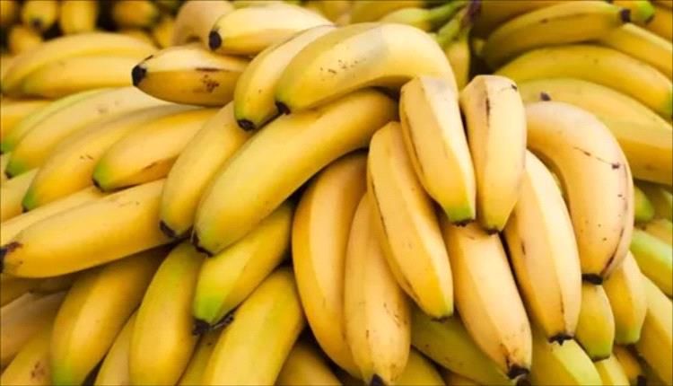 يحتوي على البوتاسيوم.. فوائد الموز في خفض ضغط الدم المرتفع الموز صحة وطبالموز