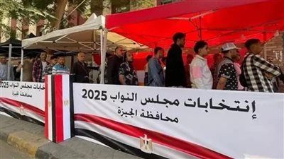 تليجراف الخليج يرصد جولة الإعادة في الجيزة.. 10 مقاعد متبقية يتنافس عليها 20 مرشحًا في 6 دوائر - الخليج الان