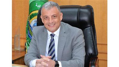 محافظ الإسماعيلية يشارك الأهالي فرحتهم بالعام الجديد في منتجع الفيروز - الخليج الان