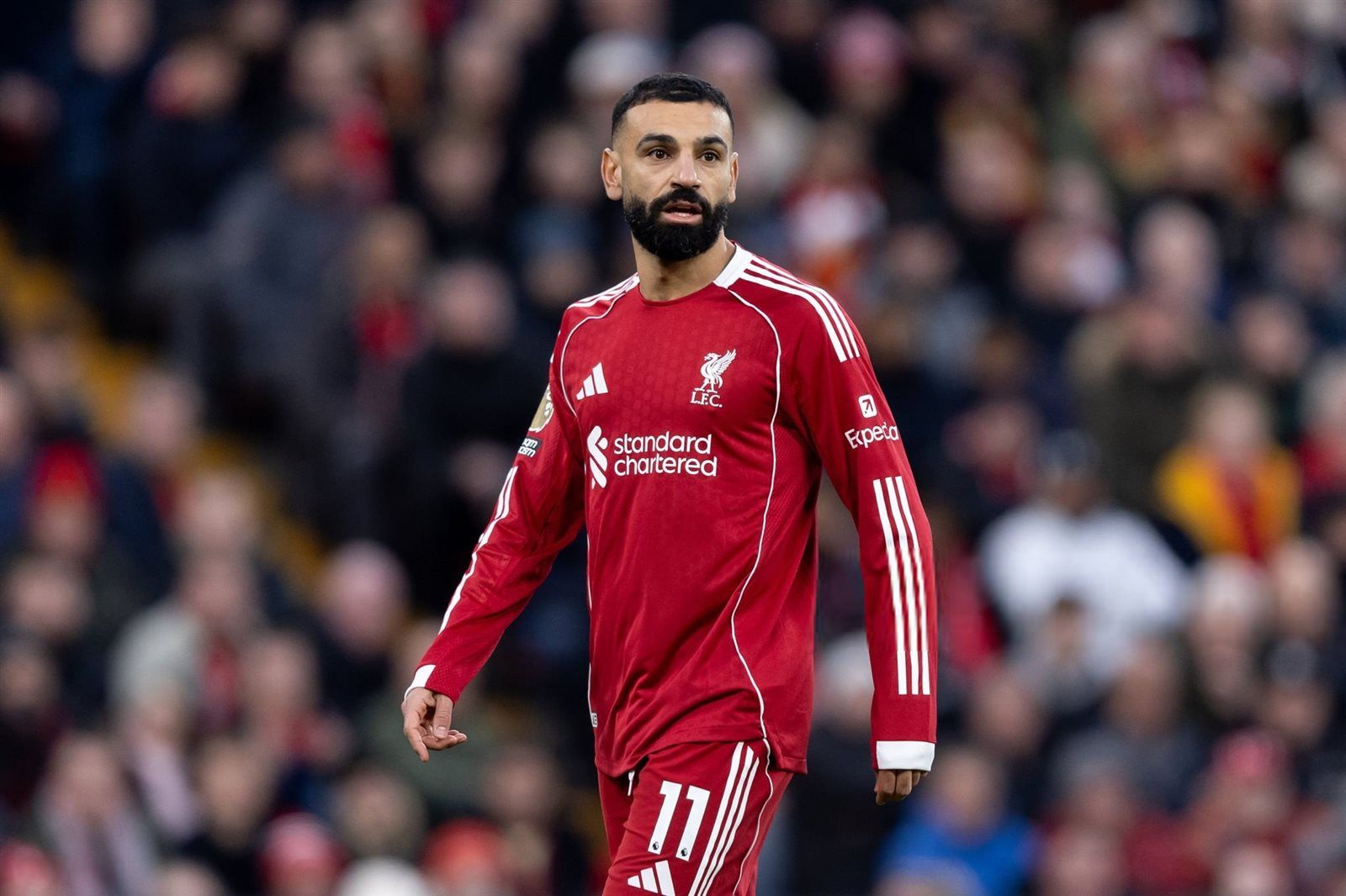 موعد مباراة ليفربول وفولهام في الدوري الإنجليزي الممتاز والقنوات الناقلة والتشكيل المتوقع - الخليج الان