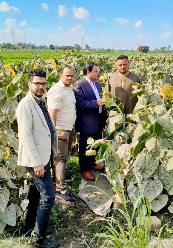 محافظ الفيوم يتابع جهود مديرية الزراعة في رفع الوعي وتحسين الإنتاج الزراعي والحيواني - الخليج الان
