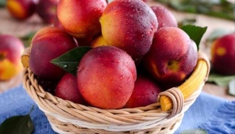 أبرزها الخوخ.. فواكه تحسن صحة الأمعاء