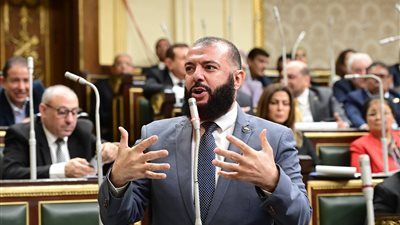 النائب أحمد خليل خير الله رئيسا للهيئة البرلمانية لحزب النور بمجلس النواب - الخليج الان