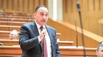 بعد فوزه بمنصب وكيل لجنة الاقتراحات والشكاوى بمجلس النواب.. محمد زين الدين: نجتمع قريبا لوضع خطة العمل وهدفنا مصلحة المواطنين - الخليج الان