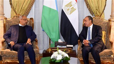 وزير الخارجية لـ نظيره الجيبوتي: نؤكد رفضنا لأي إجراءات من شأنها المساس بالسيادة الصومالية - الخليج الان