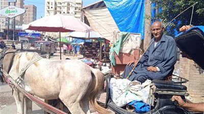 التوك توك سرق المهنة.. حناطير كفر الشيخ على حافة الانقراض مع تغير وسائل النقل - الخليج الان