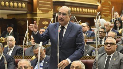 رئيس برلمانية الشعب الجمهوري بالشيوخ يطالب الحكومة بوضع خطة للاستفادة من ورد النيل في صناعة السماد - الخليج الان