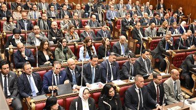 تحت قبة الشيوخ.. تحذيرات برلمانية من خطر ورد النيل والتغيرات المناخية على المياه والزراعة - الخليج الان