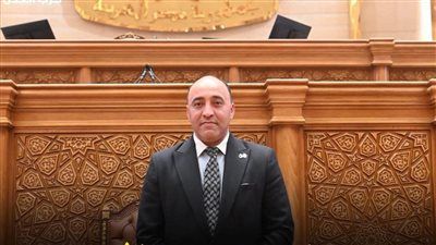 النائب حسام الخُشت يتقدم بطلب إحاطة لوزير الإسكان بشأن ربط شبكات الصرف الصحي الداخلية بمنطقة الطويسة بأسوان - الخليج الان