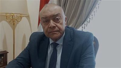 رئيس نقل النواب لـ تليجراف الخليج: اتفاقية يابانية لدعم هيئة قناة السويس بمنحة 22 مليون دولار - الخليج الان