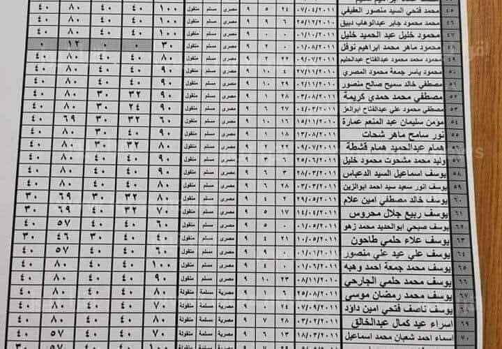 رابط نتيجة الصف الثالث الإبتدائي 2026 بالرقم القومي.. بعد إعلانها في المدارس - الخليج الان