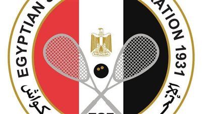 اتحاد اسكواش يشكل لجنة طبية متخصصة لتطوير الرعاية الصحية - الخليج الان