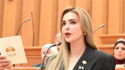 النائبة مروة بوريص توجه سؤال إلى الحكومة بشأن العائد الحقيقي للمشروعات الاستثمارية - الخليج الان