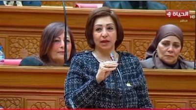 بعد تصريحات الرئيس السيسي بإصدار تشريع جديد لحظر استخدام الهاتف للأطفال.. النائبة مها عبد الناصر: سنقوم بعمل جلسات الاستماع لنرى إمكانية التطبيق - الخليج الان