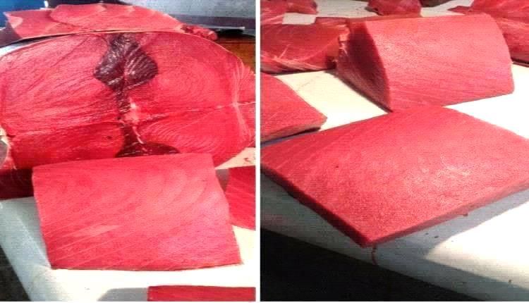 أسعار الأسماك اليوم الأربعاء فى عدن 25 يناير 2026م