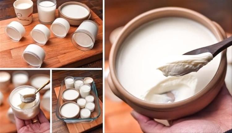 يدعم صحة العظام.. فوائد تناول الزبادي