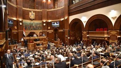 مجلس الشيوخ يناقش اقتراح النائبة زينب فهيم بشأن توفير جهاز رنين مغناطيسي لمستشفى فاقوس المركزي بالشرقية - الخليج الان