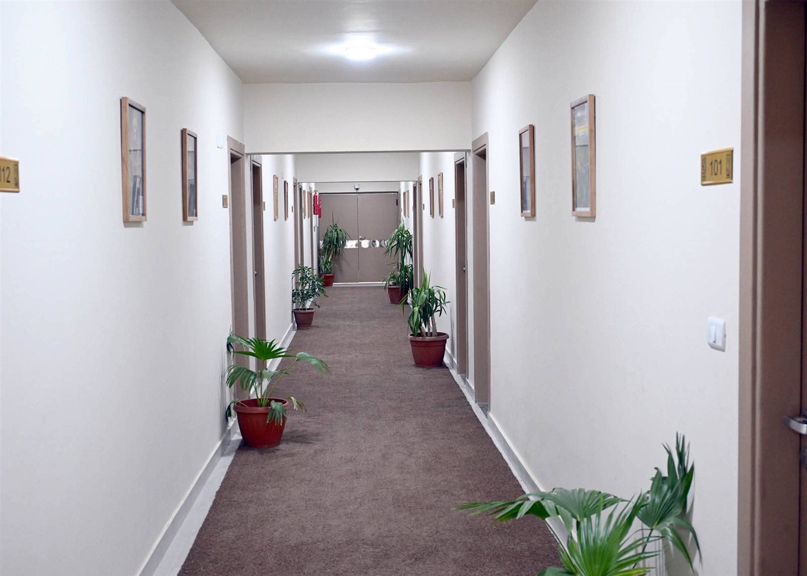 خلال زيارته اليوم للمحافظة.. رئيس الوزراء يفتتح أول فنادق جامعة المنيا - الخليج الان