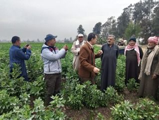 «الزراعة» تنشر ملخص جهود وأنشطة معاهد ومعامل مركز البحوث الزراعية خلال الأسبوع الرابع من يناير - الخليج الان