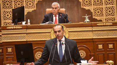 وزير الشؤون النيابية: تقييد الوصول لمنصات التواصل الاجتماعي للأطفال تحت 16 عامًا لحمايتهم من الإدمان الرقمي - الخليج الان