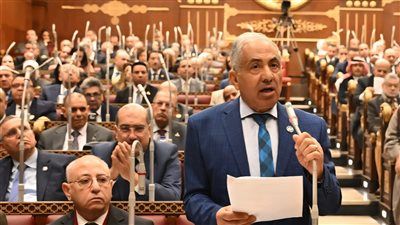 وكيل مجلس الشيوخ يشدد على تنظيم العلاقة بين كليات الطب والمستشفيات الجامعية - الخليج الان