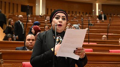 منعا للواسطة والمحسوبية.. البرلمان يوافق على مقترح النائبة جيهان شاهين بتعديل قانون نقابة المهن الرياضة - الخليج الان