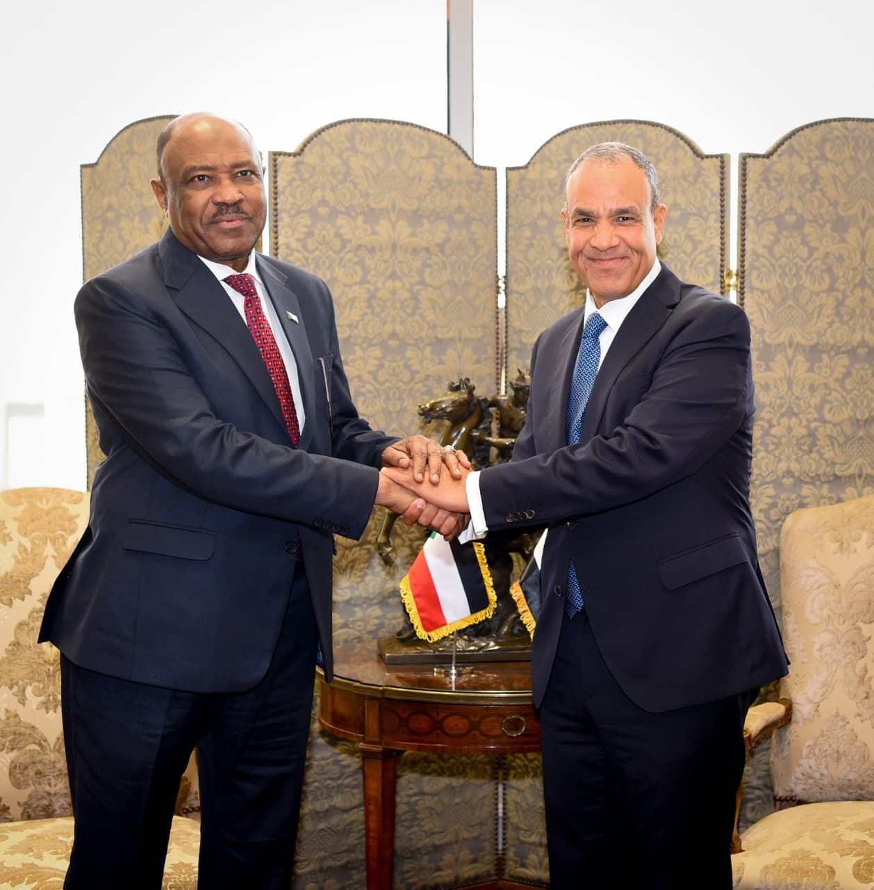 وزير الخارجية: نرفض أي محاولات تستهدف تقسيم السودان أو المساس بسيادته واستقراره - الخليج الان