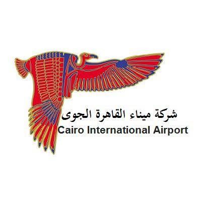 وزير الطيران يتواصل مع النائب ضياء داود بعد أزمة تسرب بأحد خطوط تموين الطائرات بمطار القاهرة - الخليج الان