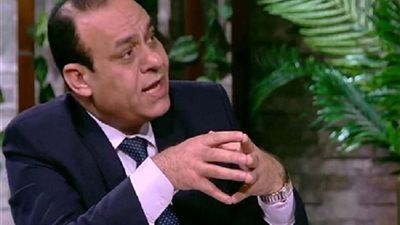 خبير اقتصادي: الاستثمارات الأجنبية مفتاح النمو وتشغيل الشباب في المرحلة الحالية - الخليج الان