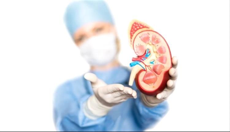 أخطاء نمط الحياة الشتوية قد تضر بالكلى خلال فصل الشتاء