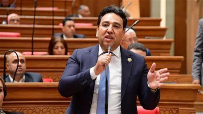 وكيل اقتصادية النواب: التعديل الوزاري فرصة لتعزيز الأداء الاقتصادي والاجتماعي وتحسين الخدمات للمواطنين - الخليج الان