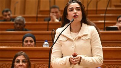 المستشفيات ليس بها سرير رعاية شاغر.. تحرك برلماني جديد ضد وزير الصحة - الخليج الان