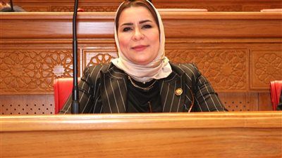 النائبة نيفين الكاتب تتقدم بمشروع قانون لتغليظ عقوبة التحرش وهتك العرض المتعلقة بالأطفال - الخليج الان