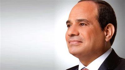 مجاهد نصار: توجيهات الرئيس بحزمة جديدة للحماية الاجتماعية ترسخ مفهوم الدولة الراعية للمواطن محدود الدخل - الخليج الان