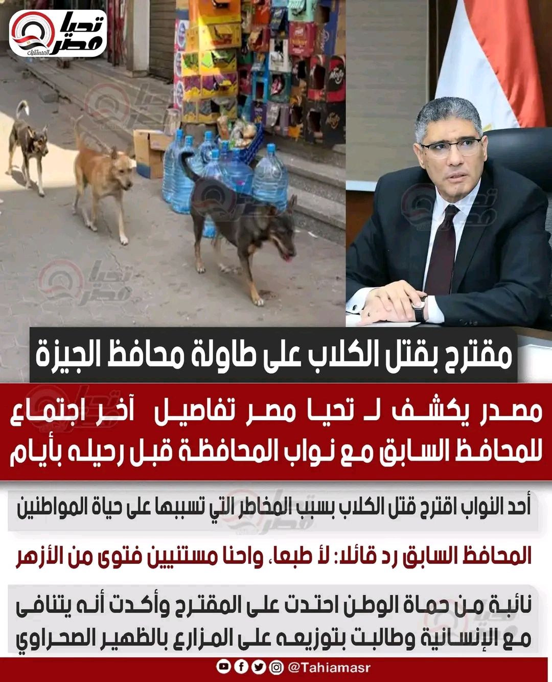 مقترح بقتل الكلاب على طاولة محافظ الجيزة.. مصدر يكشف لـ تليجراف الخليج تفاصيل آخر اجتماع للمحافظ السابق مع نواب المحافظة قبل رحيله بأيام - الخليج الان