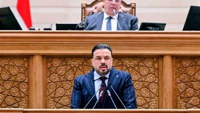 رئيس رياضة النواب : الزيارات الميدانية من أهم الأدوات الرقابية لحل مشاكل الشباب ولن تكون شكلية - الخليج الان