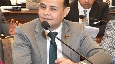 صناعة النواب: «أبواب الخير» تجسد رؤية السيسي للحماية الاجتماعية وتصل بالدعم إلى ملايين الأسر - الخليج الان